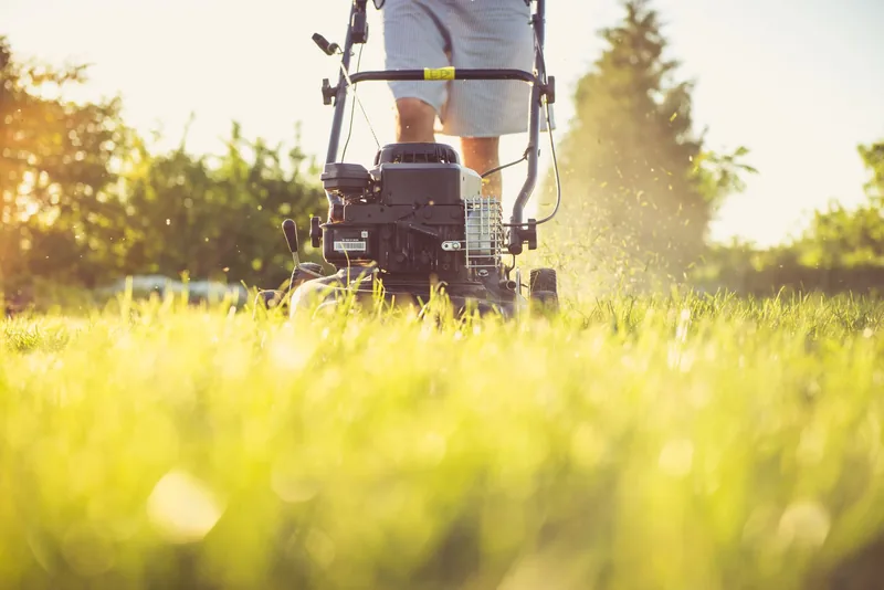 Lawn care worker mowing in warm evening light