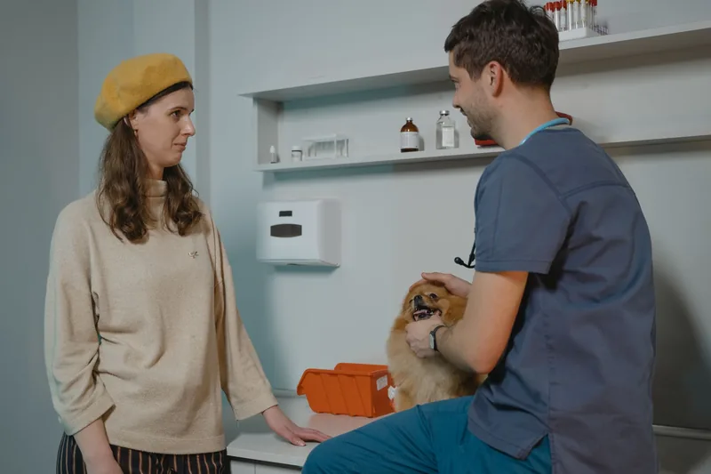 Veterinarian talking with a dog owner in a clinic