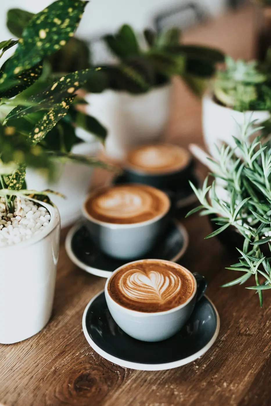 Three cups of flat white with latte art on a wooden table among plants